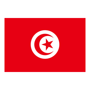 突尼斯 